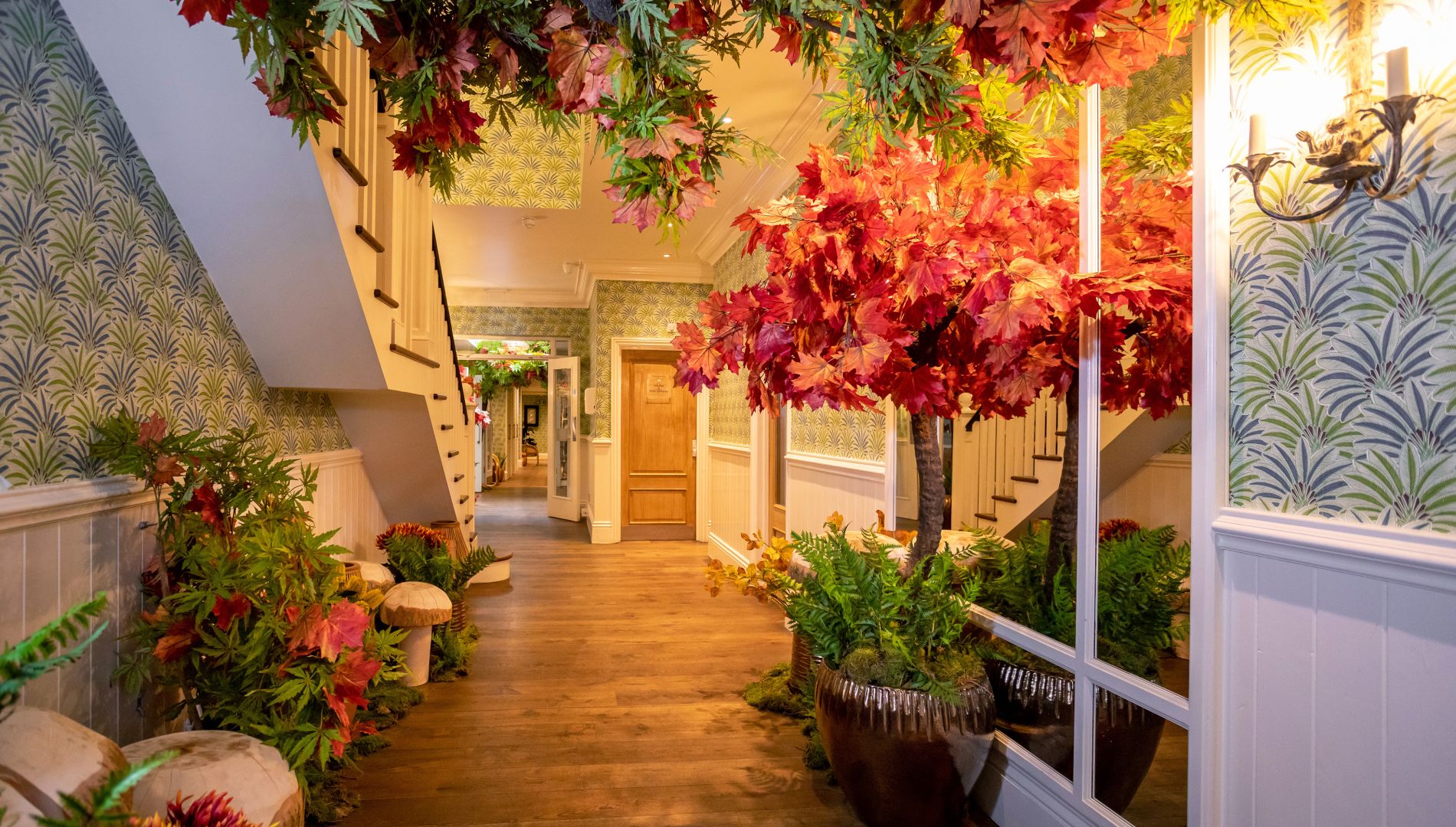 A Walkway With Plants And Flowers