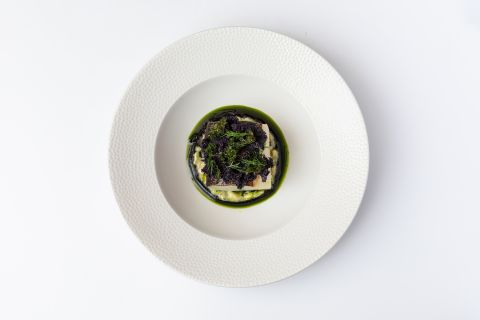 A Plate With A Green Plant On It